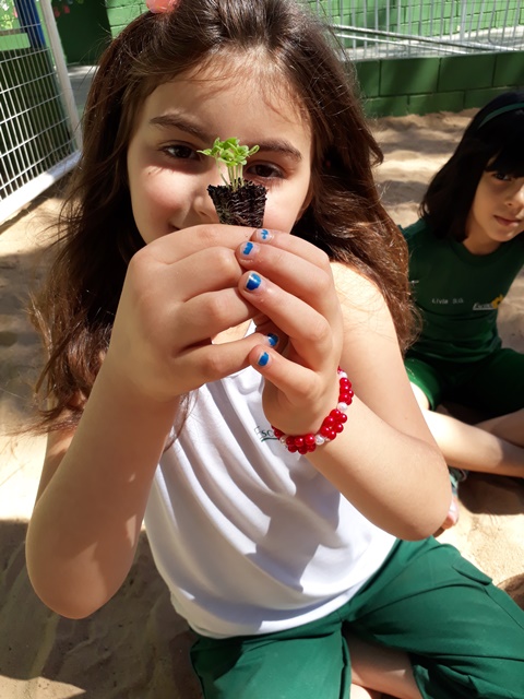 Capa de Projeto tempero natural – 1º ano A e D