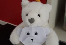 Capa de The White Polar Bear (o urso polar branco) – Jardim