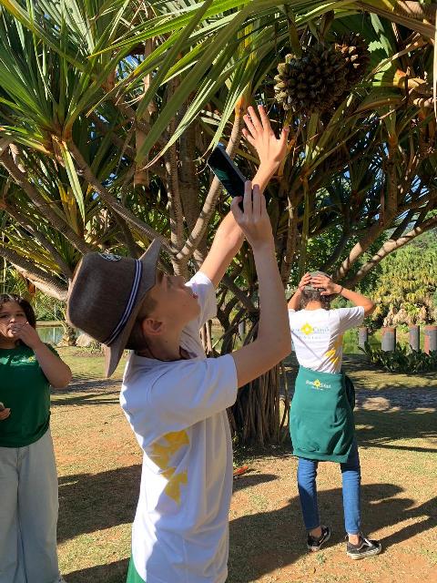 Capa de Visita ao Jardim Botânico de Jundiaí – 8º ANO A